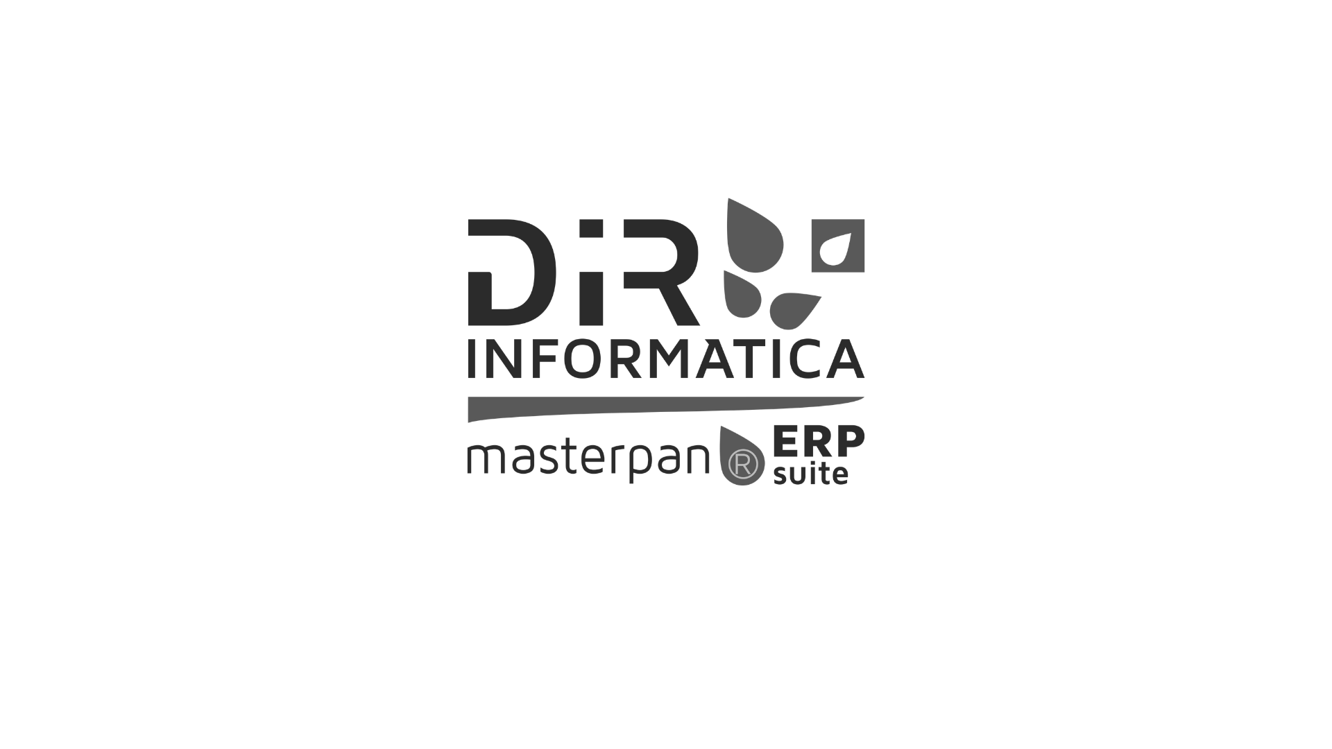 DiR Informatica · Masterpan ERP